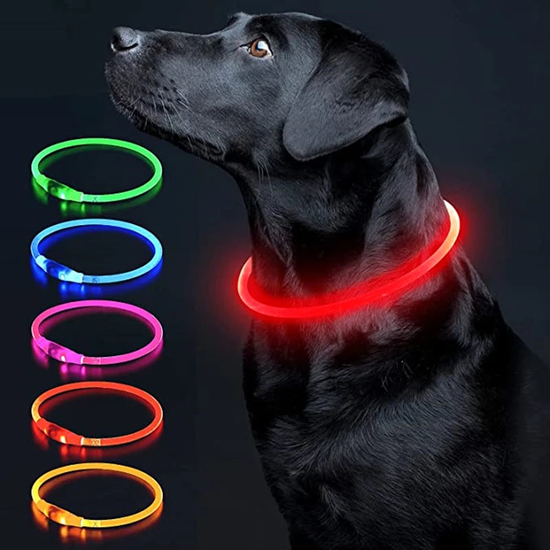 Led Dog Collar - Light USB Rechargeable