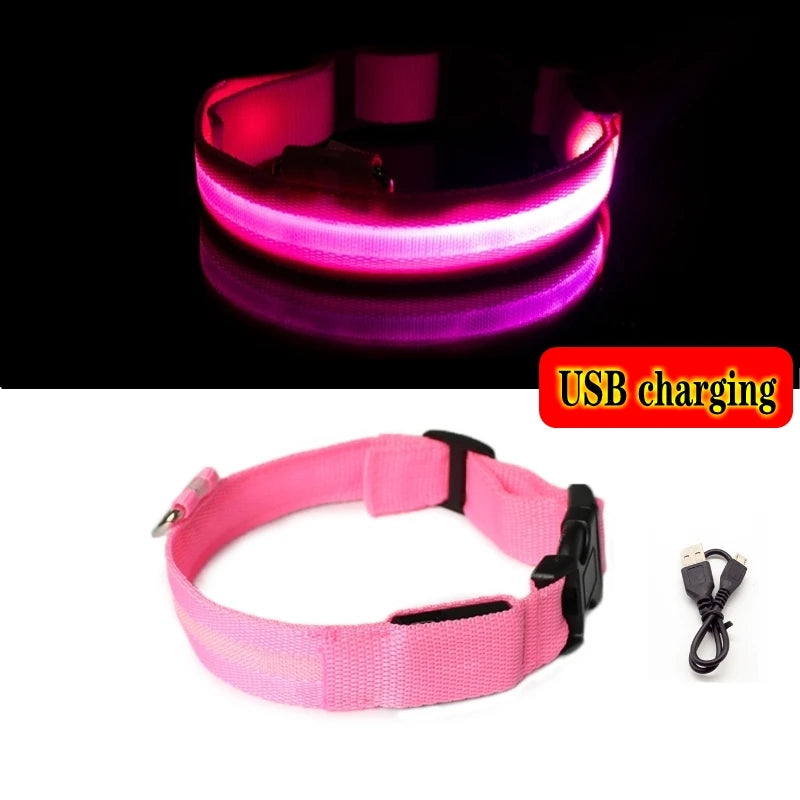 Led Dog Collar Light - For Dogs USB