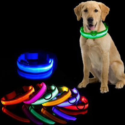 Led Dog Collar Light - For Dogs USB