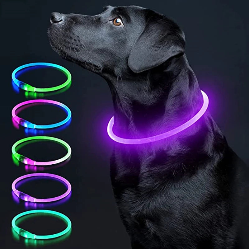 Led Dog Collar - Light USB Rechargeable