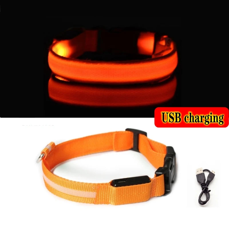 Led Dog Collar Light - For Dogs USB