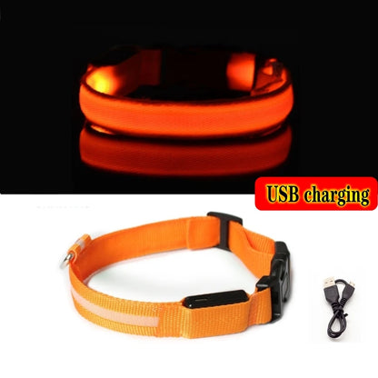 Led Dog Collar Light - For Dogs USB