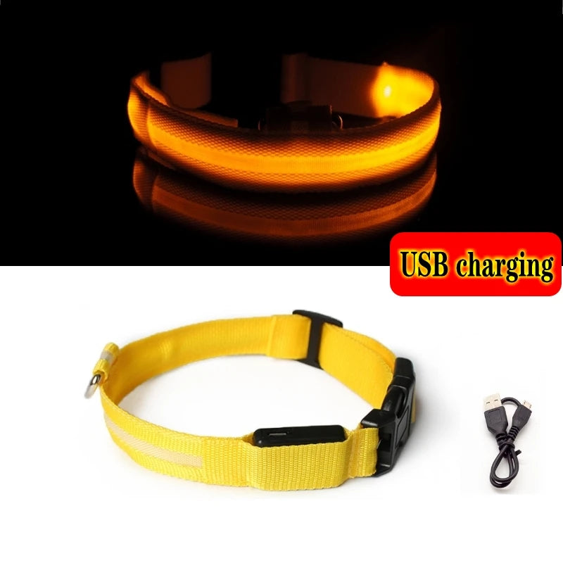 Led Dog Collar Light - For Dogs USB