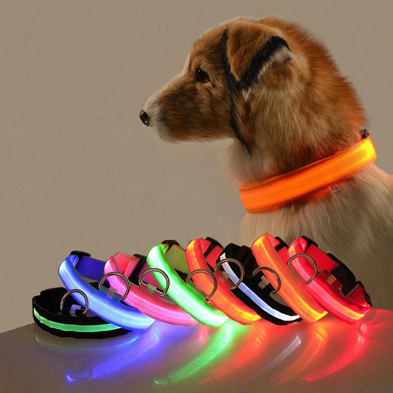 Led Dog Collar Light - For Dogs USB