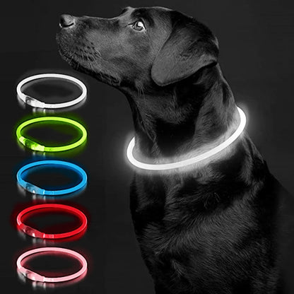 Led Dog Collar - Light USB Rechargeable