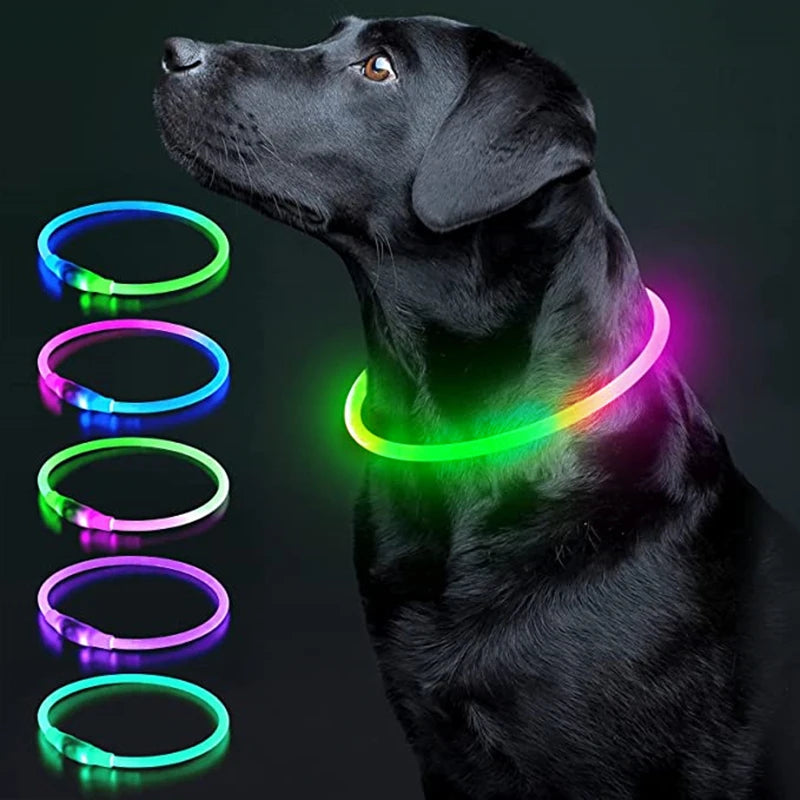 Led Dog Collar - Light USB Rechargeable