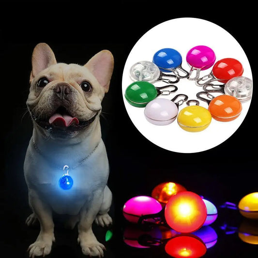 LED Dog Collar Light - Glow in The Dark Reflective