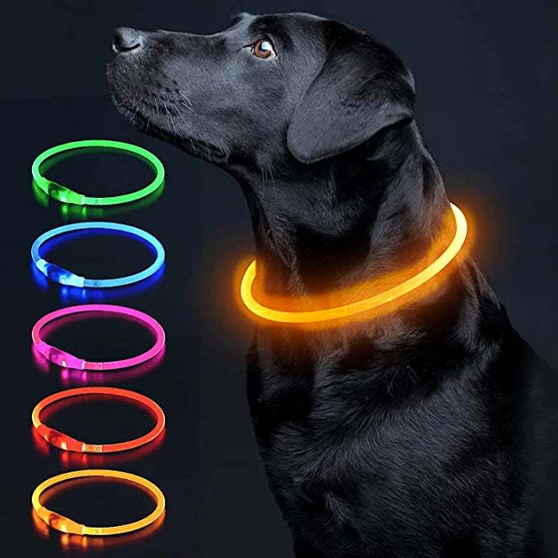 Led Dog Collar - Light USB Rechargeable