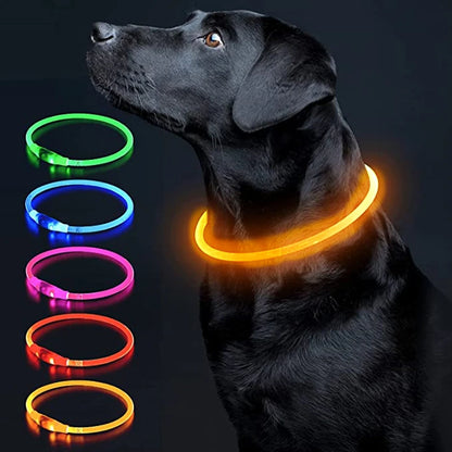 Led Dog Collar - Light USB Rechargeable