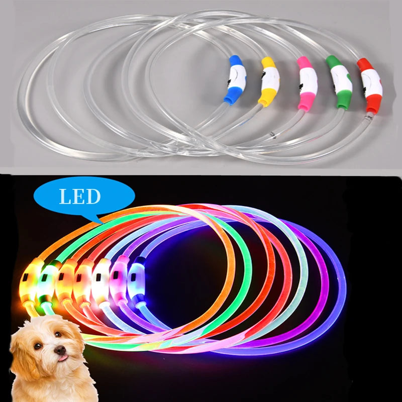 Led Dog Collar - Light USB Rechargeable