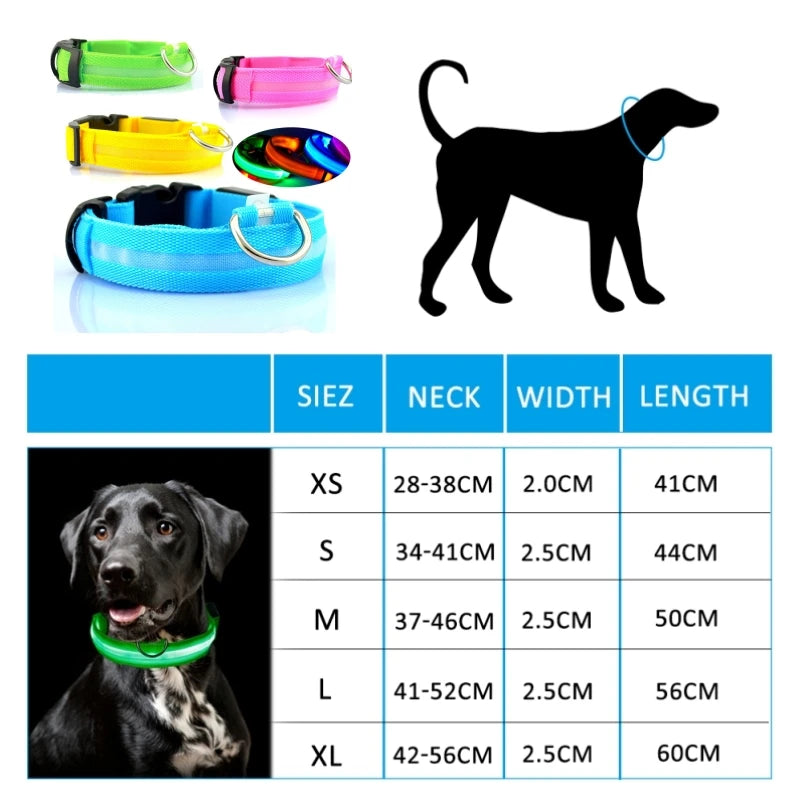 Led Dog Collar Light - For Dogs USB
