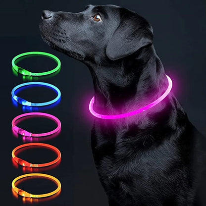 Led Dog Collar - Light USB Rechargeable