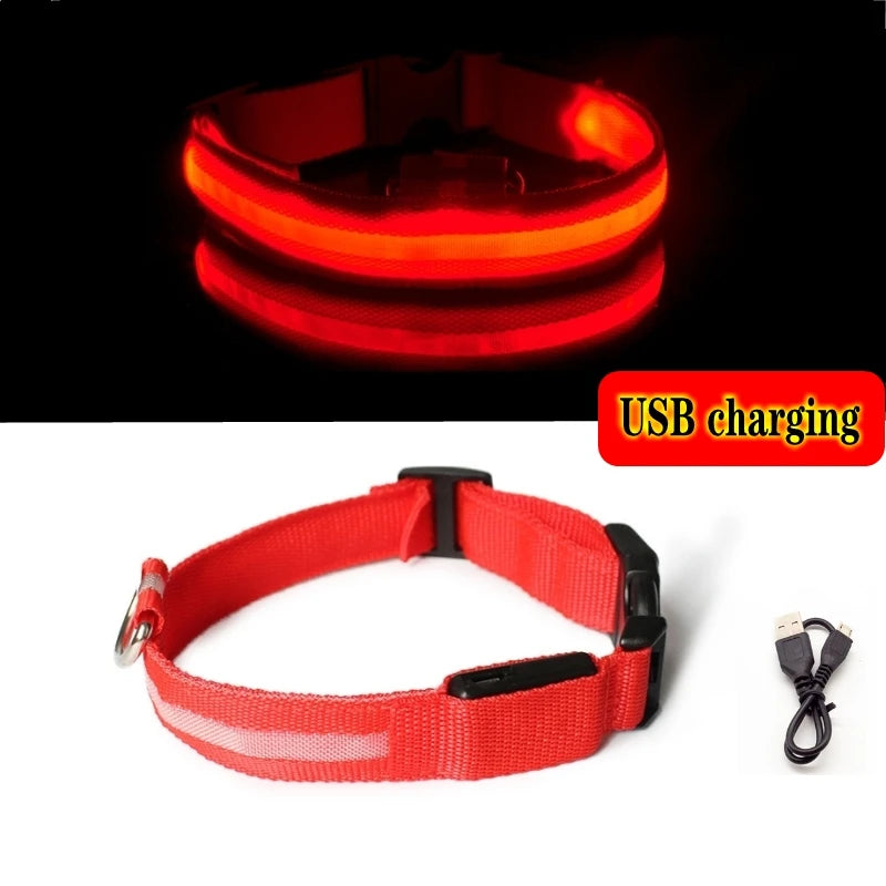 Led Dog Collar Light - For Dogs USB