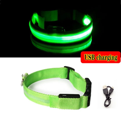 Led Dog Collar Light - For Dogs USB