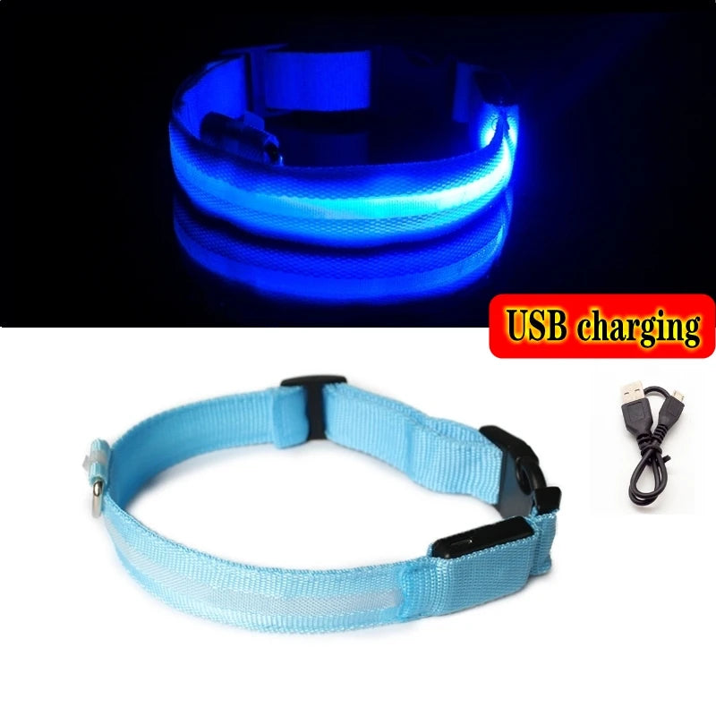 Led Dog Collar Light - For Dogs USB