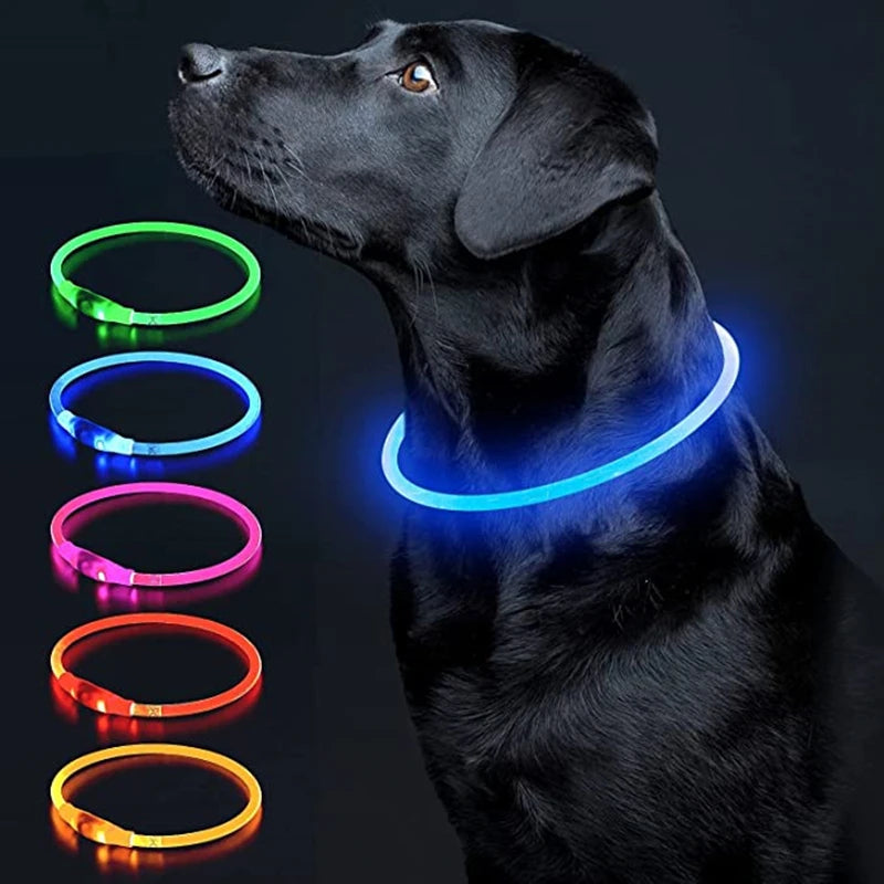 Led Dog Collar - Light USB Rechargeable