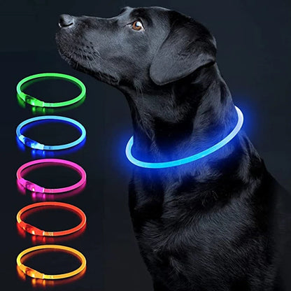 Led Dog Collar - Light USB Rechargeable