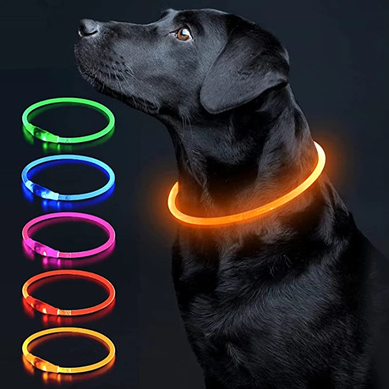 Led Dog Collar - Light USB Rechargeable