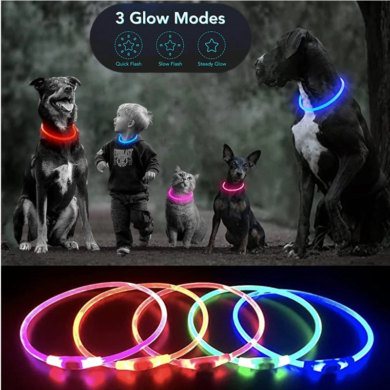 Led Dog Collar - Light USB Rechargeable