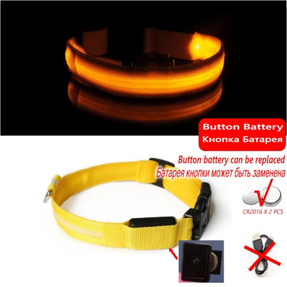 Led Dog Collar Light - For Dogs USB