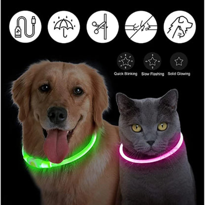 Led Dog Collar - Light USB Rechargeable